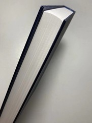 DAVE GROHL “The Storyteller” 2021 HARDCOVER First Edition 7th Print NIRVANA FOO