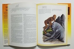 Man After Man: An Anthropology of the Future by Dougal Dixon