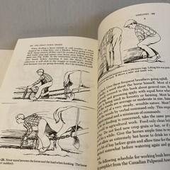 The Draft Horse Primer by Maurice Tellen 1977 Paperback 392 Pages