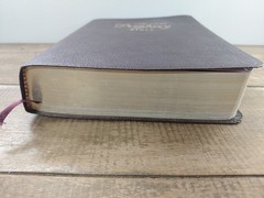 Jack Van Impe Prophecy Bible Special Limited Edition Red Letter KJV