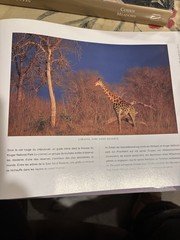 Spectacular South Africa Multilingual by Tim O’Brien 2001