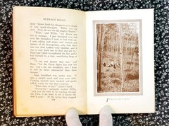 Buffalo Roost, F. H. Cheley, 1913, First Edition, Hardcover, Antique