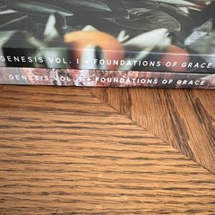 Genesis: Foundations of Grace Vol 1 Joanna Kimbrel PB Illus