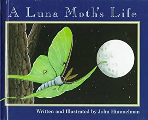 A Luna Moth’s Life Hardcover John Himmelman