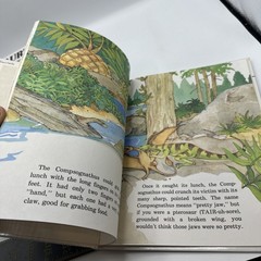 Dinosaur Hardcover Books 1991 Janet Riehecky The Child’s World Series 18 Books