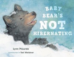Baby Bear’s Not Hibernating by Plourde, Lynn, Acceptable Book
