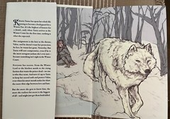 Omen of Ice by Jus Accardo Owlcrate Exclusive Signed First Edition novel, New