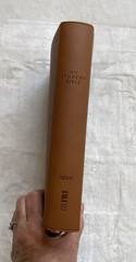 NIV Student Bible Leathersoft Cover Lay Flat Maps Yancey Stafford Reading Plans