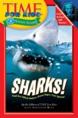 Sharks (Time For Kids) – Paperback By Adrienne Betz – GOOD