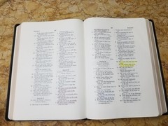 RARE 1999 USA NASB Bible Wide Margin Unknown Leather Opaque Paper USED L@@K🌟