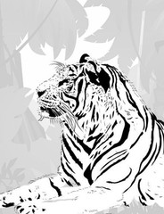 Coloring Book save the Tigers 108 Pages 8.5 x 11 for All Ages Best Tigers book