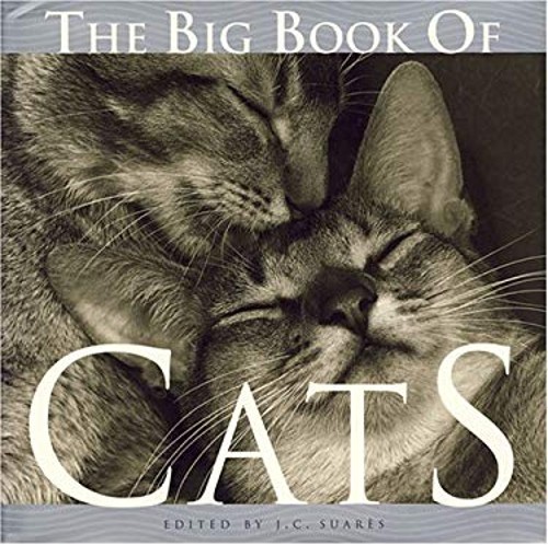 The Big Book of Cats Hardcover J. C. Suares