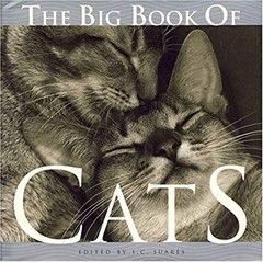 The Big Book of Cats Hardcover J. C. Suares