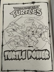 Teenage Mutant Ninja Turtles Coloring And Activity Book TMNT Heroes Nickelodeon