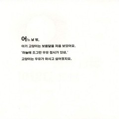 Kitten’s First Full Moon by Kevin Henkes | Korean Edition Picture Books