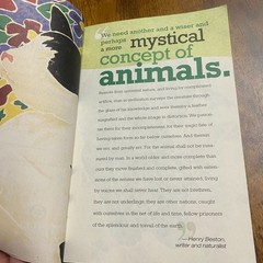 Pets Gone Green Live a More Eco-Conscious Life with Your Pets Eve Adamson