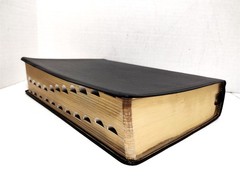 NIV Life Application Study Bible (Genuine Leather, Thumb Indexed, Gilt Edges)