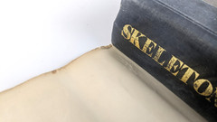 Skeleton Crew – Stephen King (1985) TRUE FIRST EDITION / 1st Printing – Putnam