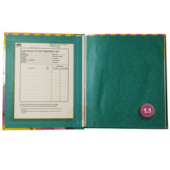 Houghton Mifflin Leveled Reading Levels 1.1 and 1.3 Journeys 2.1 Hardcover Texts