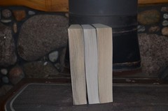 LOT 3 AMISH LOVE INSPIRED INSPIRATIONAL ROMANCE BOOKS BY LENORA WORTH P.B.