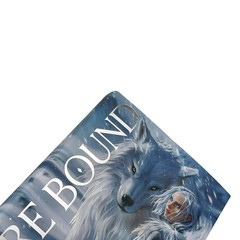 Dire Bound Fairyloot SIGNED Exclusive Edition Sable Sorensen (NEW)