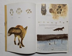 Rien Poortvliet: … und jeder Fuchs hat seinen Bau, Kosmos 2001, HC