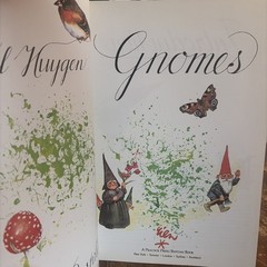 The #1 Bestseller Gnomes Forest Gnome Paperback Book