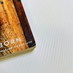 Brother by Ania Ahlborn (2015, Trade Paperback)