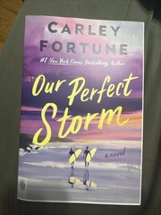 Our Perfect Storm Carley Fortune Paperback