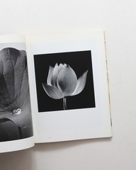 Ishimoto Yasuhiro Iro to Katachi Photography Flowers Photo Book Hardcover