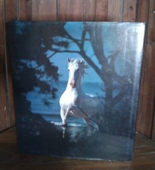EQUUS REINED by Robert Vavra 1987 Hardcover Personalized Signature