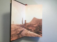 The Stand, Stephen King, Special Hardcover Edition, Custom Bound in Suede