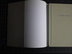 Coming to Light: Avery Gottlieb Rothko: Provincetown Summers 1957-1961 by Avery