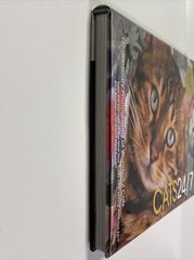 Cats 24/7 Extraordinary Photographs Of Wonderful Cats 2005 Hardcover 190 Pages