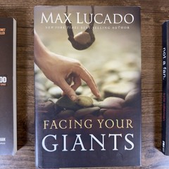 Christian Books Lot Of 10 – Francis Chan, John Bevere, Kyle Idleman, Max Lucado