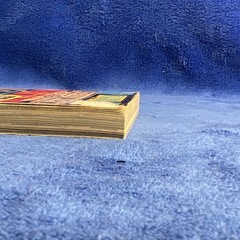 Fliks Saturday Night Fever Michael Newman Paperback Film/TV Adaptation Novel