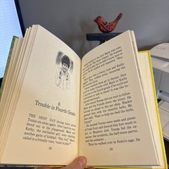 Tomas and the talking birds by Ruth Nulton Moore, 1979, Herald Press Puerto Rico