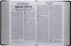 Cepher Package Deal – Large Print