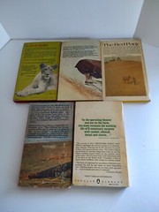 Mixed Authors Lot/11 Small Paperback Human Animal Relationships True Stories