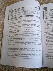 Apples Daily Spelling Drills for Secondary Students, Bible Based, Susan Kemmerer