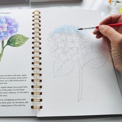 Watercolor Workbook 15 Beautiful Flowers Paintings for Adults &Teens Beginners,W
