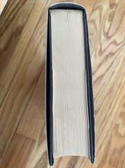 MAGICIANS QUALITY Patricia Wrede Caroline Stevermer HCDJ Book Club 2 Novels VG