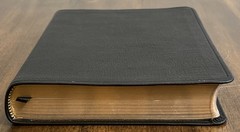 ESV Large Print Thinline Bible (Black Genuine Leather)