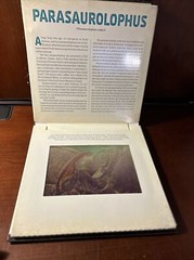 Photicular Ser.: Dinosaur : A Photicular Book by Kathy Wollard and Dan Kainen…