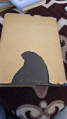 Prehistoric Pottery and Civilization in Egypt RAPHAEL Max 1947 RARE EGYPTIAN