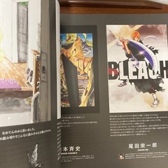 Bleach EX 20th Anniversary Exhibition Art Book THE BRAND NEW BLACK Illustration
