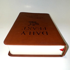 Daily Feast: Meditations from Feasting on the Word Year C, First Edition EUC