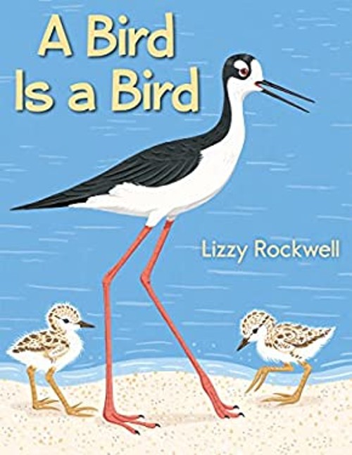 A Bird Is a Bird Hardcover Lizzy Rockwell