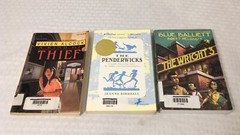 LOT OF 15 YOUNG ADULT NOVELS / MULTIPLE TITLES & AUTHORS / PAPERBACK