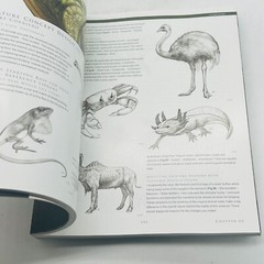 Digital Painting Techniques :Volumes 1 and 3 LOT 3Dtotal Press